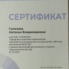 Сертификат стажировки ИРО.jpeg